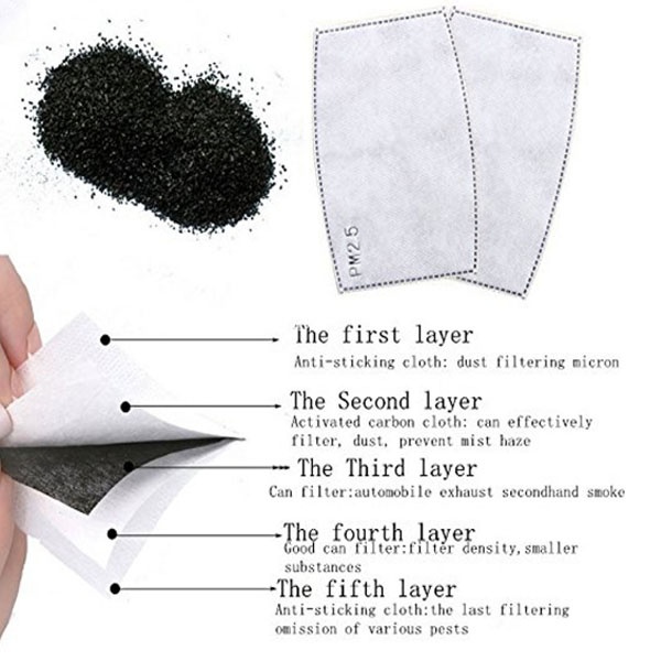 2PCS Mask Filter Element PM2.5 - مراجعة Pm2.5 Filter Insert وسعره